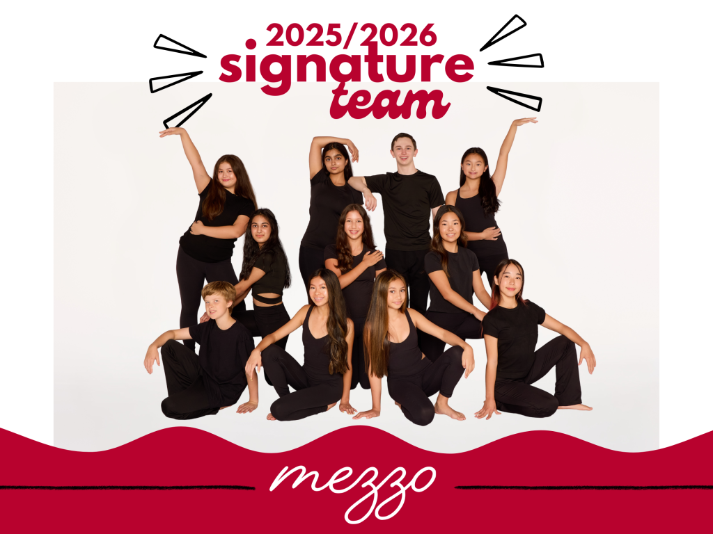 Mezzo Signature Team